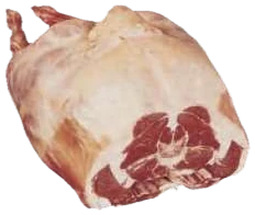 Lamb